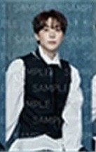 SERENADE 周邊卡 A set