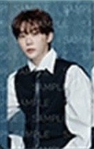 SERENADE 周邊卡 A set