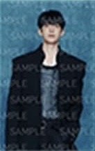 SERENADE 周邊卡 B set