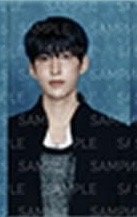 SERENADE 周邊卡 B set