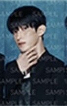 SERENADE 周邊卡 B set