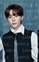 SERENADE 周邊卡 B set