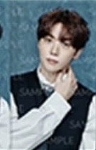 SERENADE 周邊卡 B set