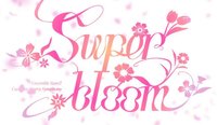 新SS4 - Superbloom - 4th