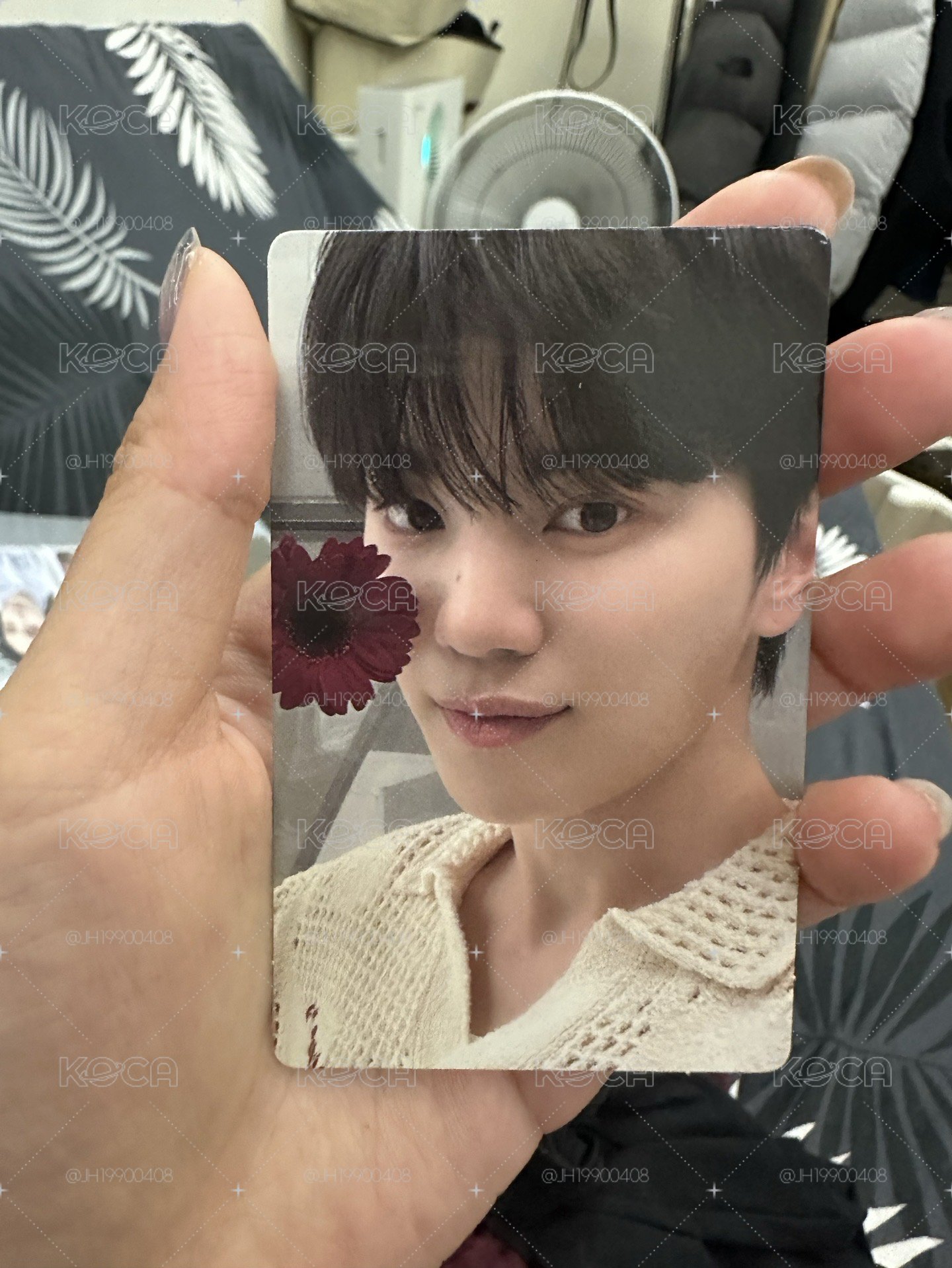 INFINITE 李成種 Begin 迷七 專卡