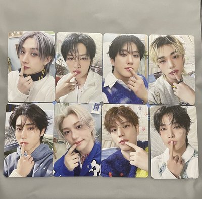 straykids六期飯咪入場禮 燦毛巾城吊飾