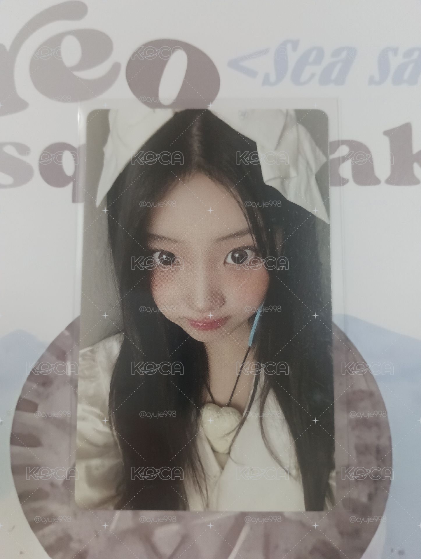 wonhee蝴蝶結專卡🟣
