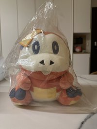 呆火鱷