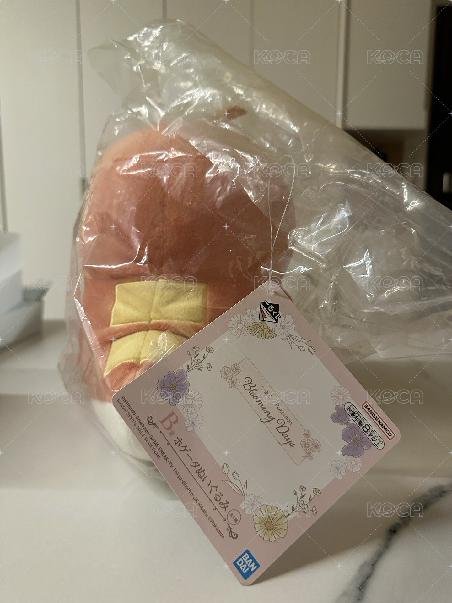 呆火鱷