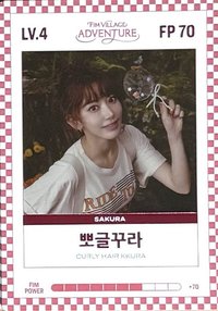 四期會員禮 會員禮卡 FIM CARD LV.4/FP 70