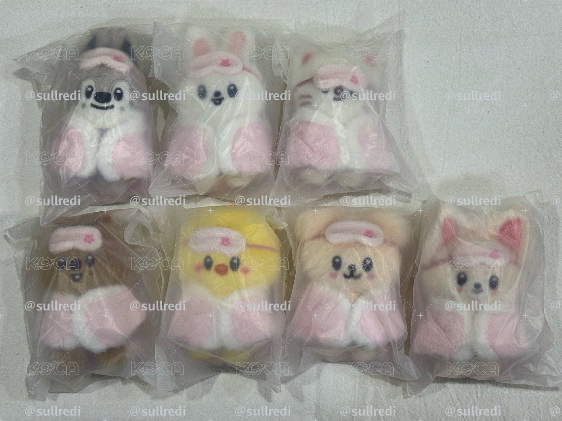 Skz 6th FM 10cm娃 現貨