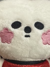 pepe