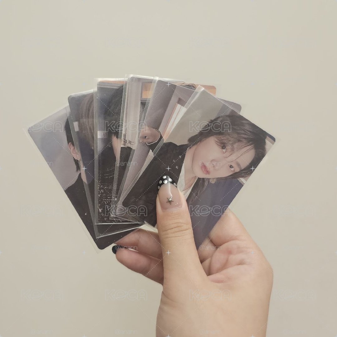 《套出》19.99 wvs
