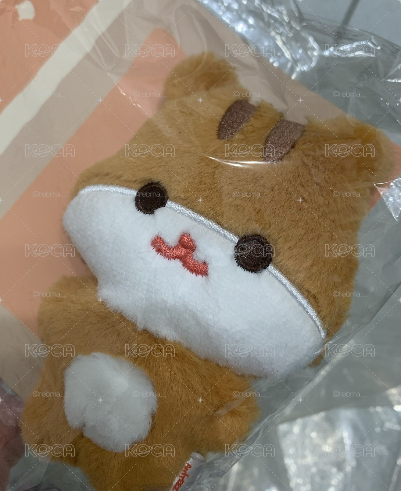 豆豆眼中拉米