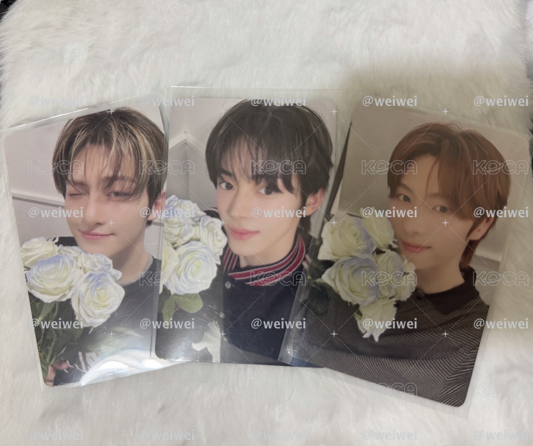 TWS 迷三 yzy告白捧花 特典