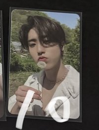 143蒲公英城