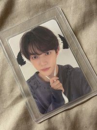 迷五小狗