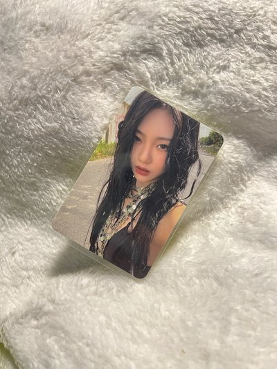 Rich man 美網BN通路 寧