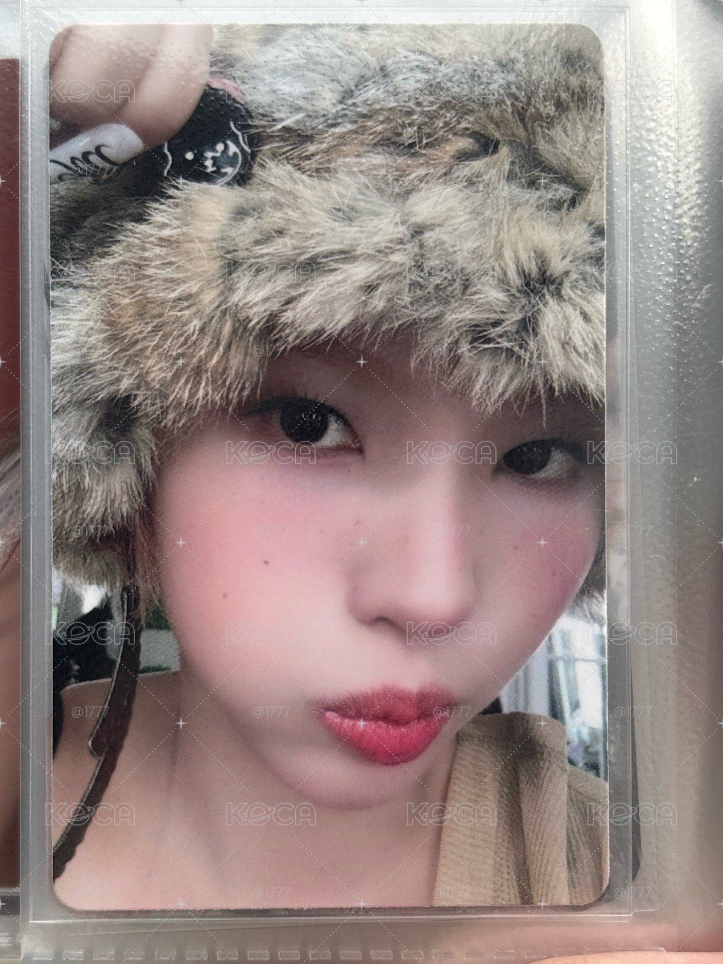 小狗髮夾娟180