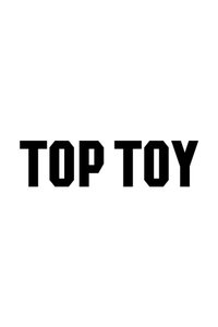 TOP TOY