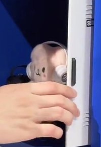 玟