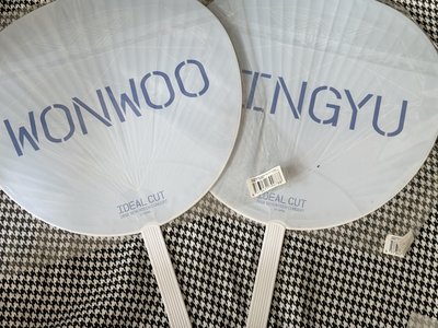 （全新未拆現貨 紙箱寄出）seventeen ideal cut 黑軍大扇 扇子 珉奎 圓佑 珉佑