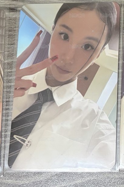 🐯正規4（7）
