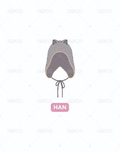 5th FM 帽子 （城）（僅帽子無海報）