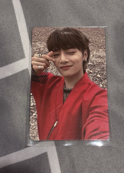 🌼✅SKZ 寅