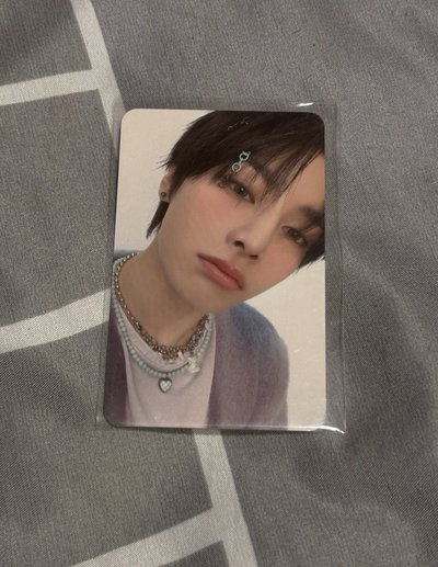 🌼✅SKZ 寅