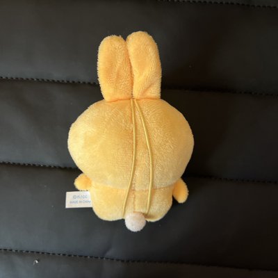 🌀扭蛋 睡衣派對兔