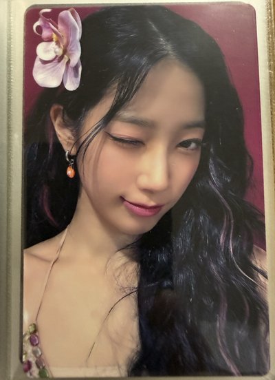 一葉小卡區