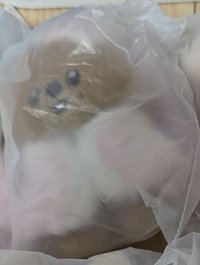 城