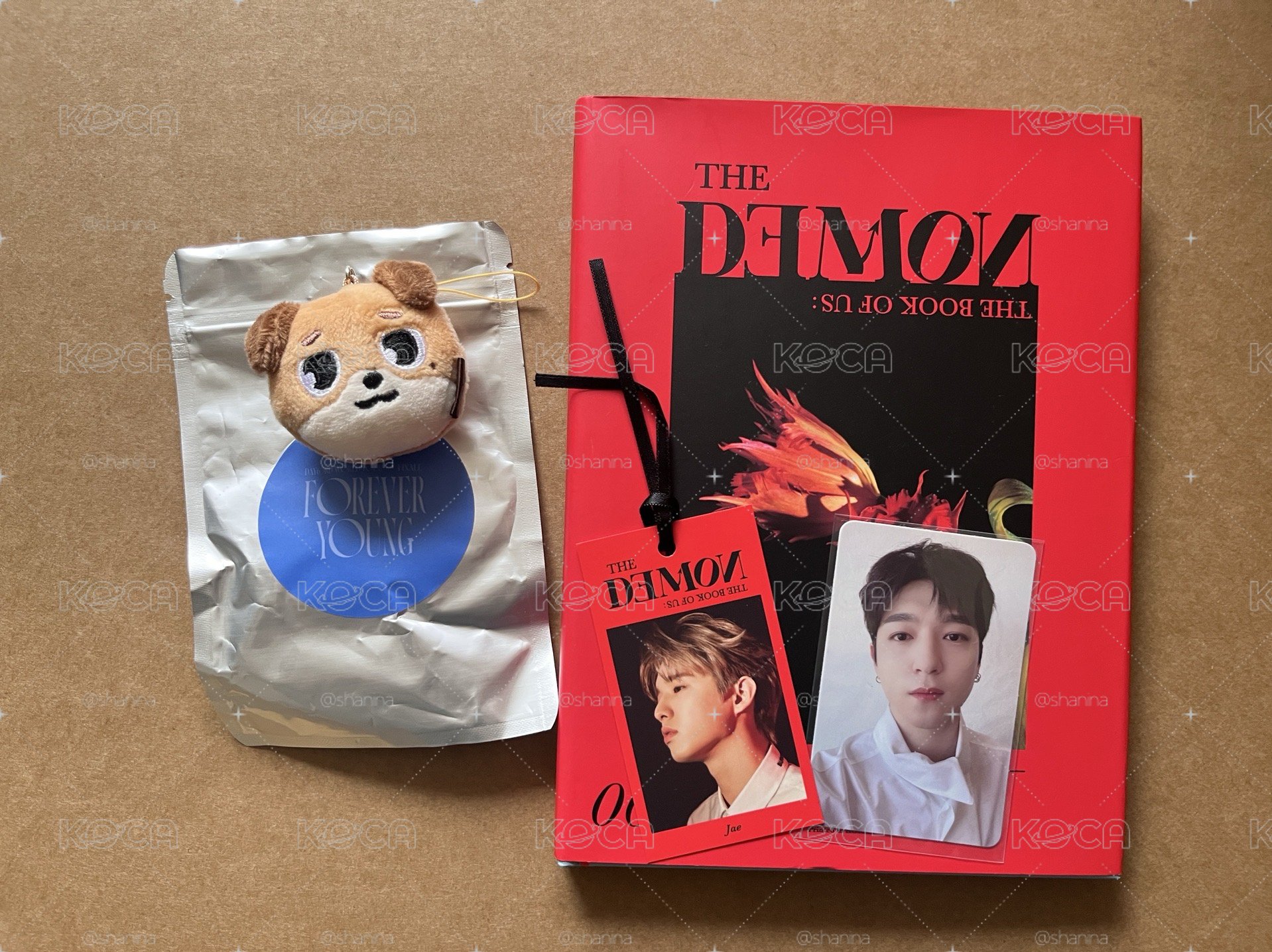 the demon專輯 don吊飾