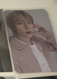 數星星圭 中背