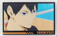 Miravivi 磁鐵 影山飛雄