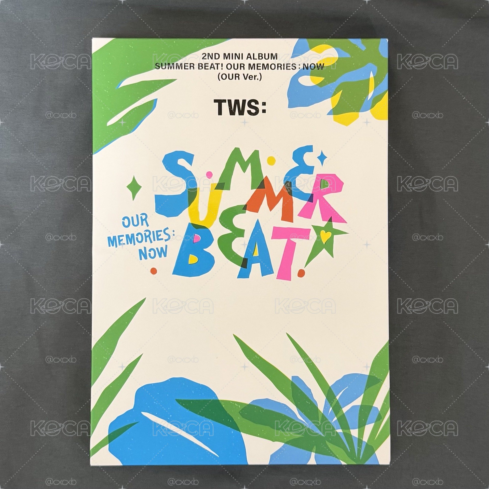 TWS 空專