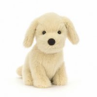 中娃 黃金獵犬