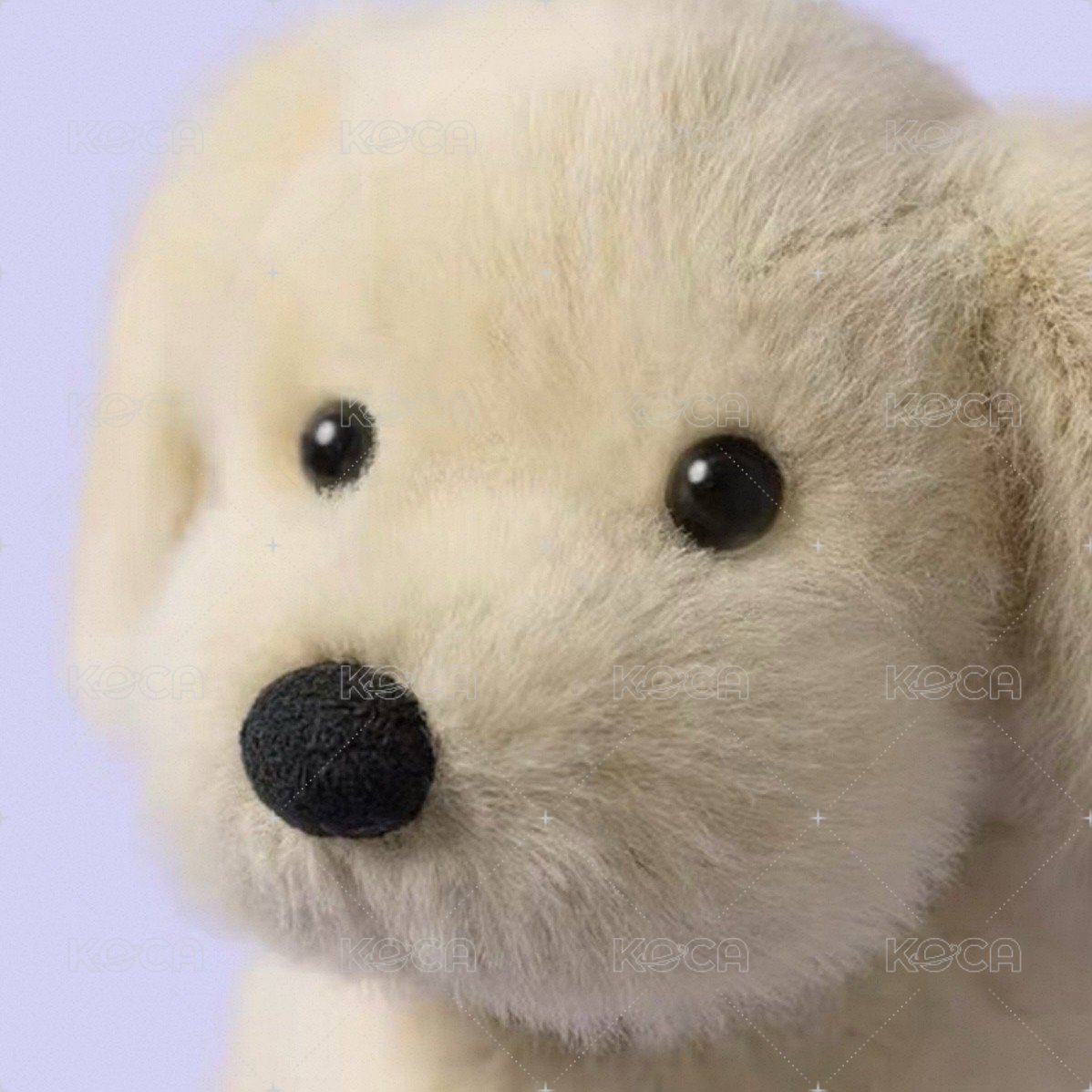 黃金獵犬