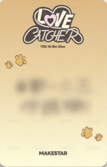 迷五 ms 台北 簽售卡 柴犬 ver. 背面