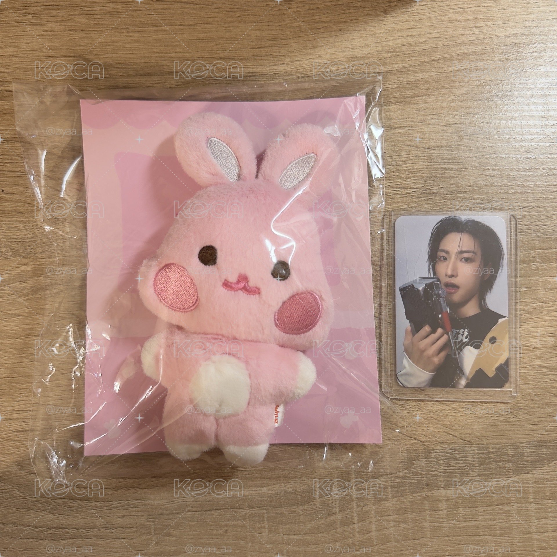 Aniteez豆豆眼咚星🐰