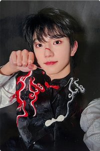 24新音 樂游 隨機卡 貓拳
