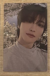 IYF櫻花星🌸