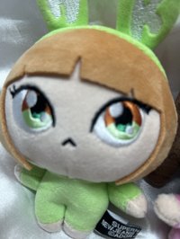 貓