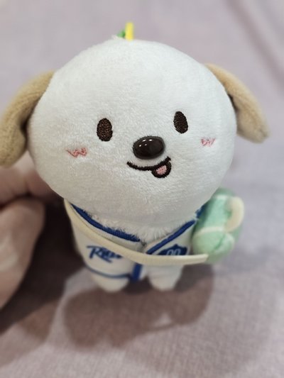 RIIZE 10cm 磁吸娃 ANTON 狗龍