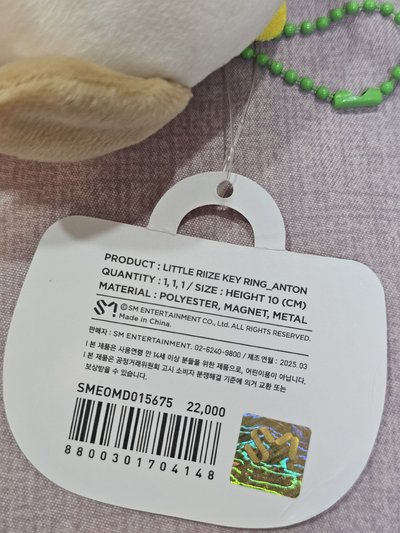 RIIZE 10cm 磁吸娃 ANTON 狗龍