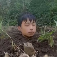 雞飛狗跳