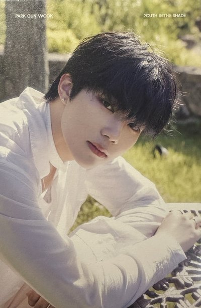 ZB1 PARKGUNWOOK 明信片