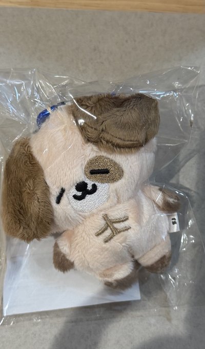 ss10 日週東海小狗