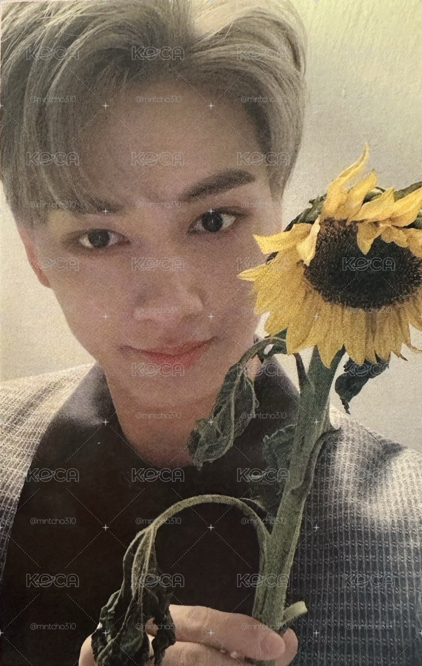 SEVENTEEN JUN 文俊輝 MINI6 打歌卡